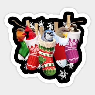 Christmas Birds Socks Costume Gift Sticker